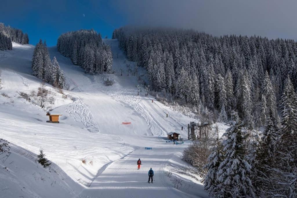 L'Enchalpe, Grand Et Lumineux Studio Avec Coin Montagne 5 Personnes, 60M Des Pistes, Piscine Couverte, Wifi, Grand Balcon Expo Est, Draps Non Compris Saint-Jean-dʼAulps Eksteriør billede